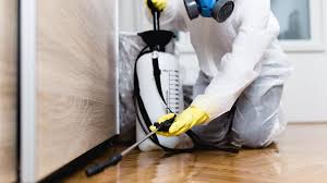 Best Residential Pest Control  in Lakeview, MI